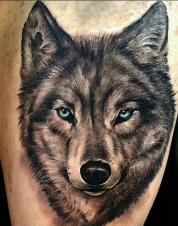 Imagenes Terrorificas De Lobos | 25 mejores im 225 genes de tatuajes de lobos tatuajes para Imagenes Terrorificas De Lobos | 25 mejores im 225 genes de tatuajes de lobos tatuajes para